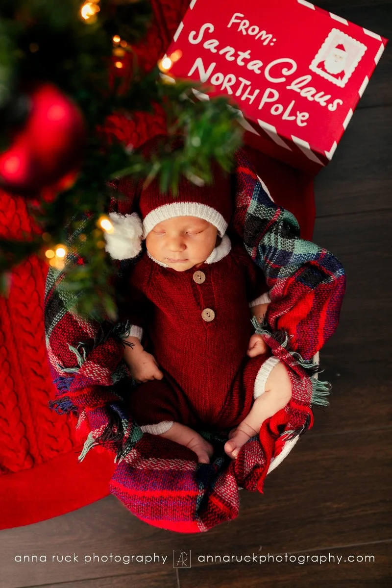 Brewer Newborn Photos_2025-13.jpg