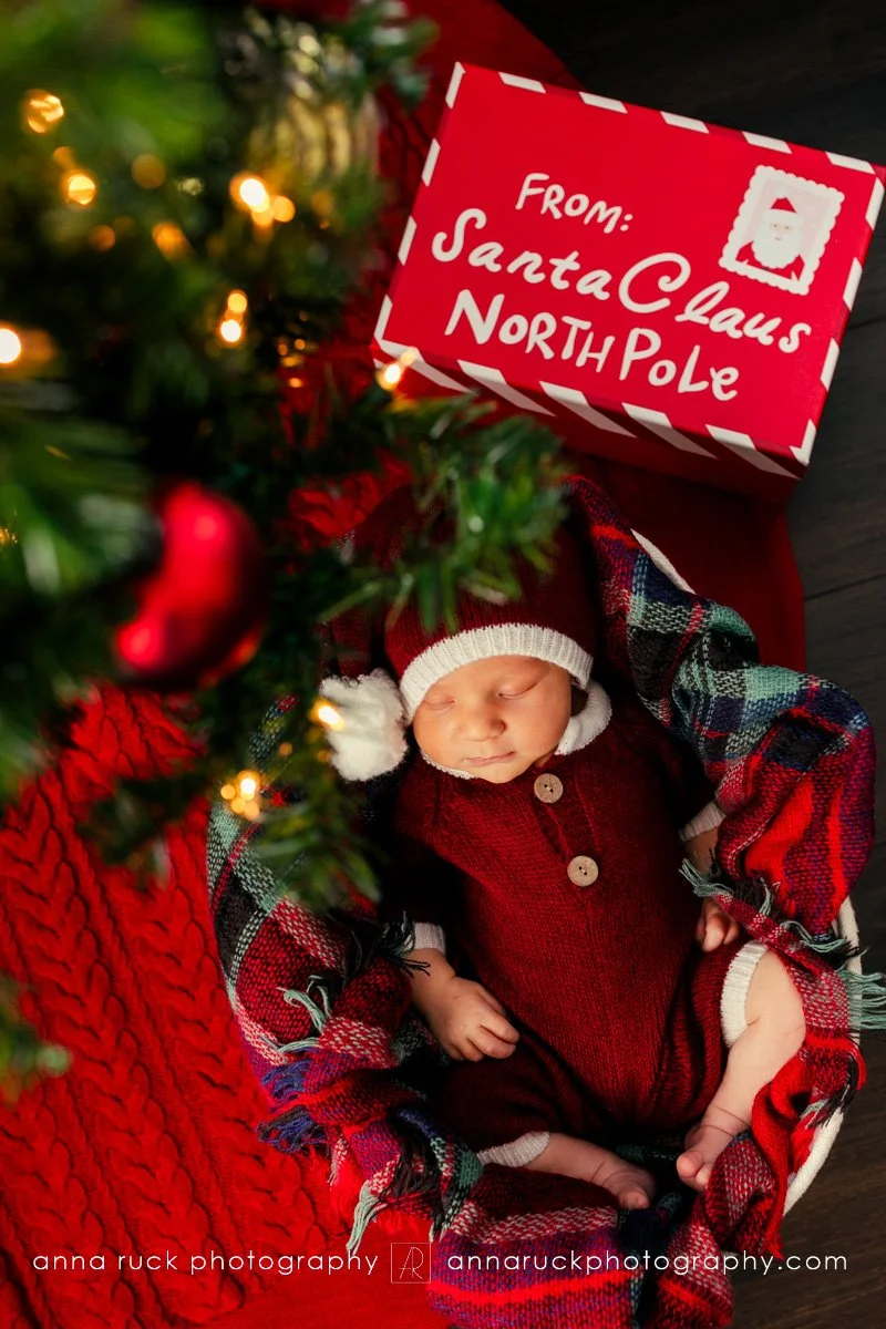 Brewer Newborn Photos_2025-14.jpg