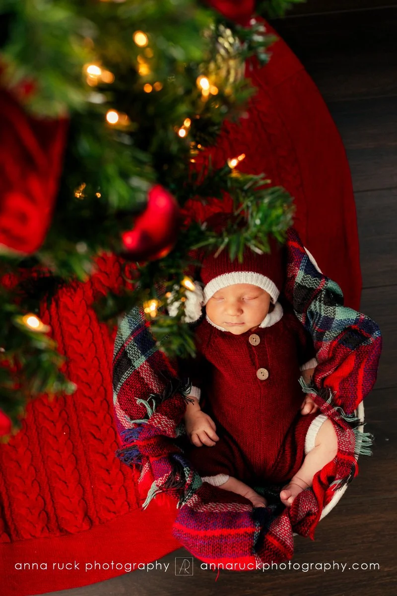 Brewer Newborn Photos_2025-15.jpg