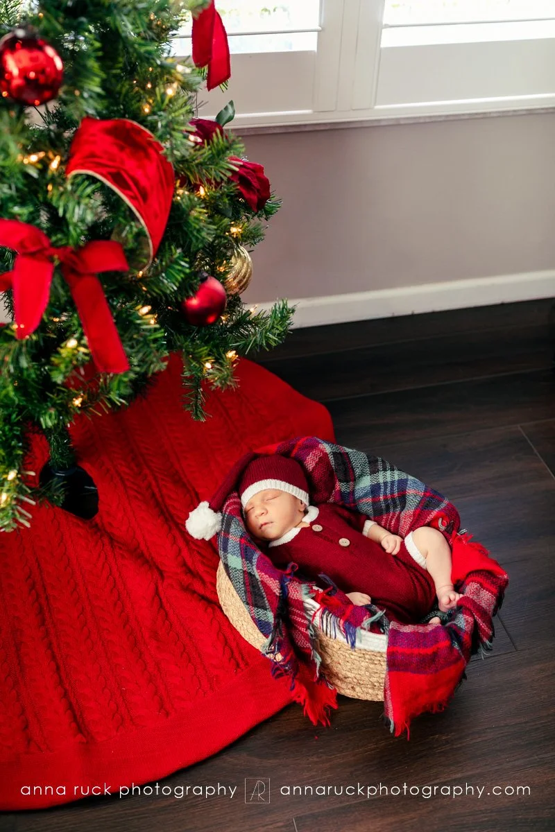 Brewer Newborn Photos_2025-19.jpg