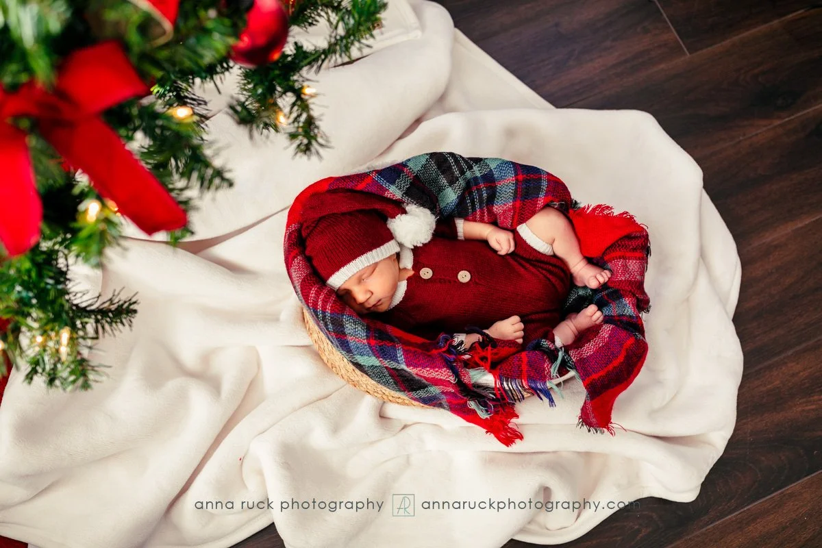 Brewer Newborn Photos_2025-22.jpg