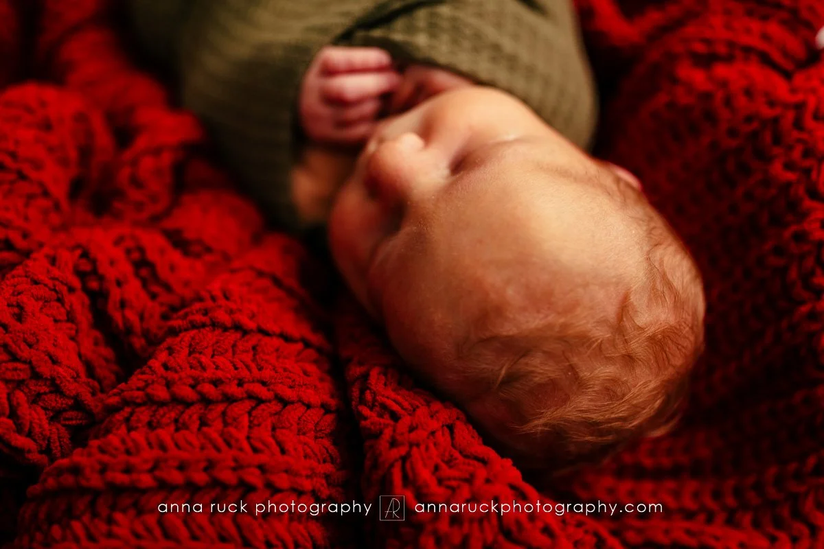 Brewer Newborn Photos_2025-55.jpg