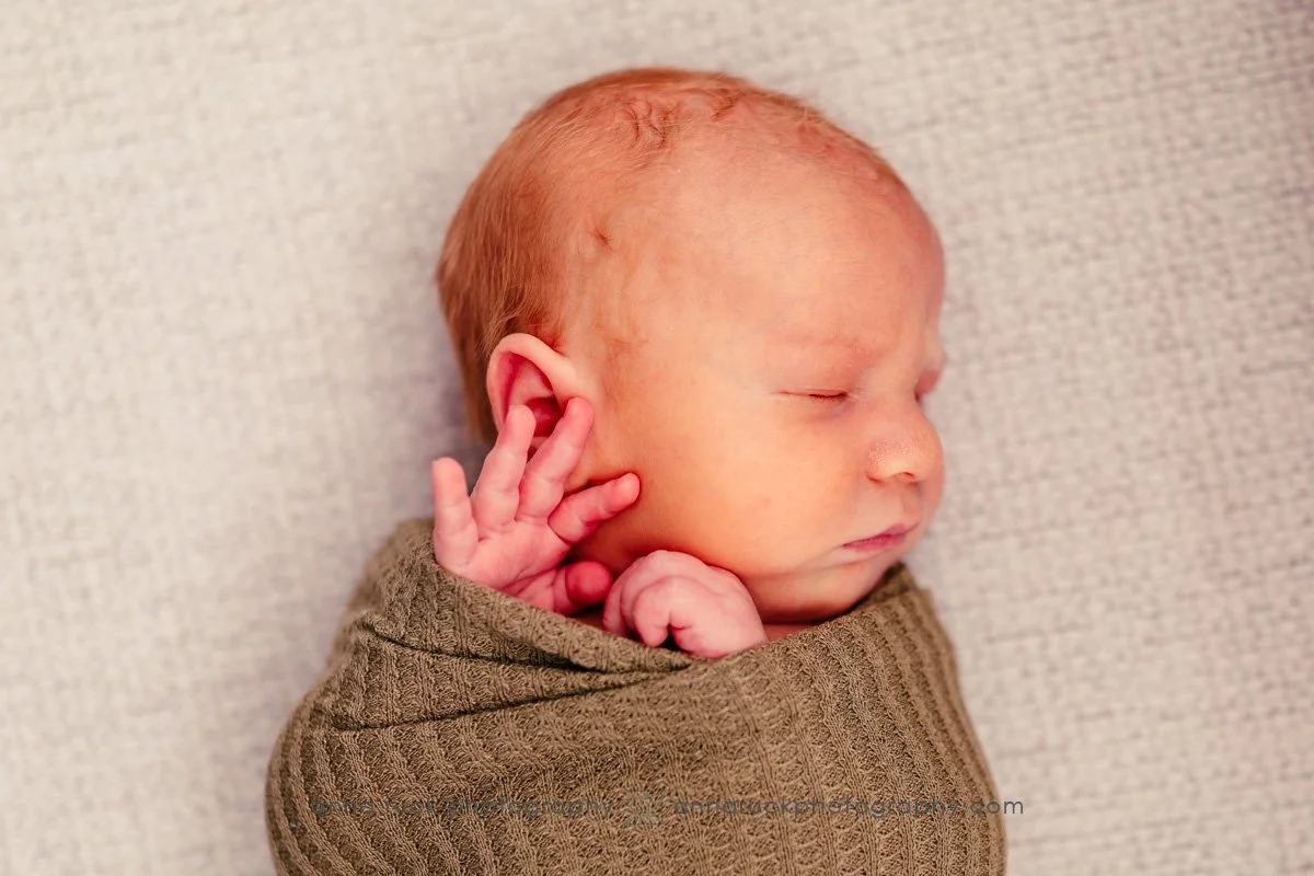 Brewer Newborn Photos_2025-67.jpg