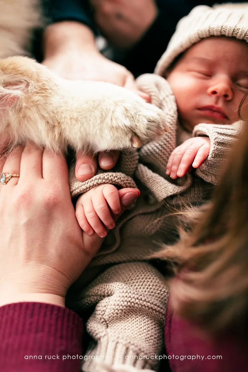 Harrison baby-one month old_2025_watermarked-16.jpg