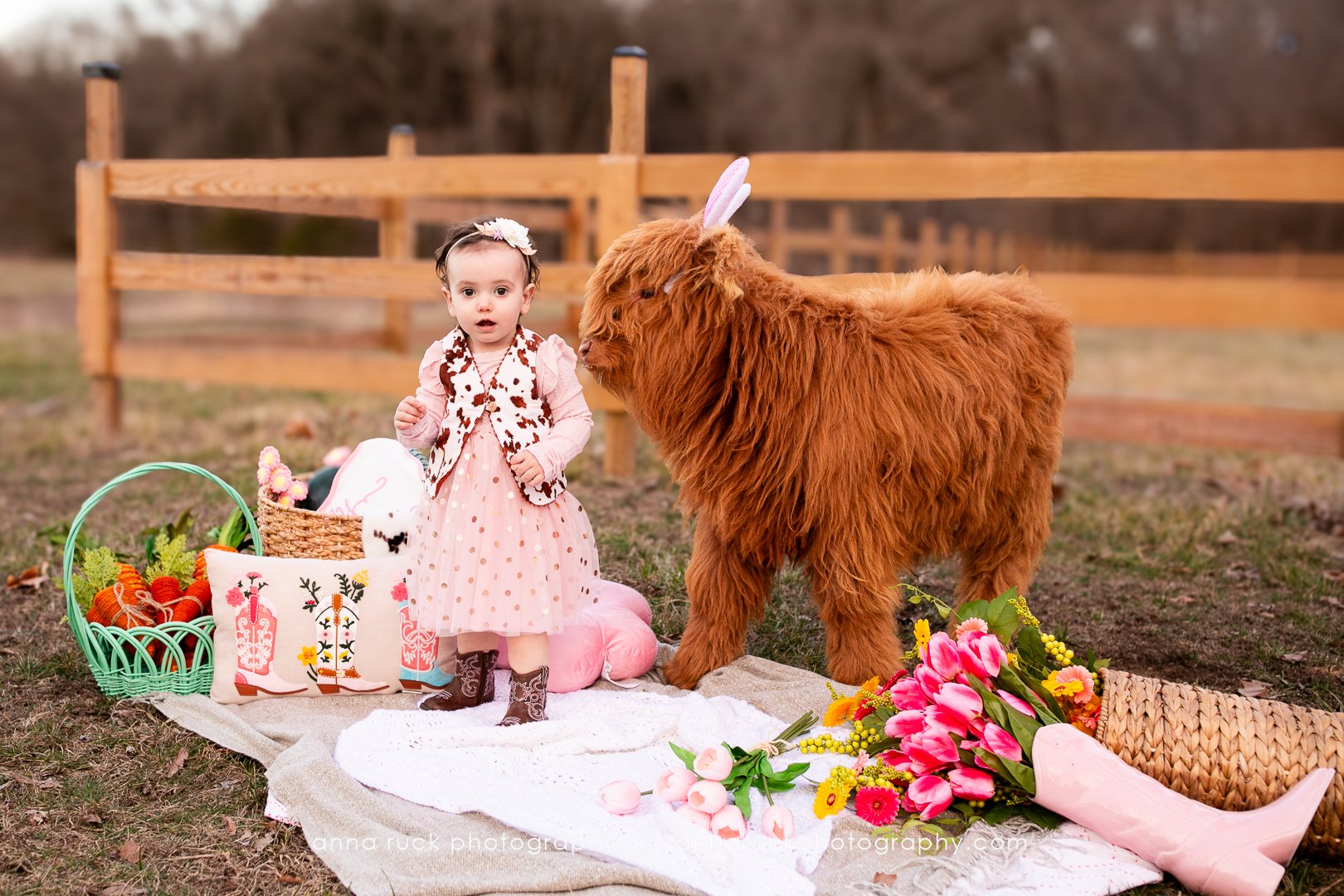 Mini cow photos_watermarked-1.jpg