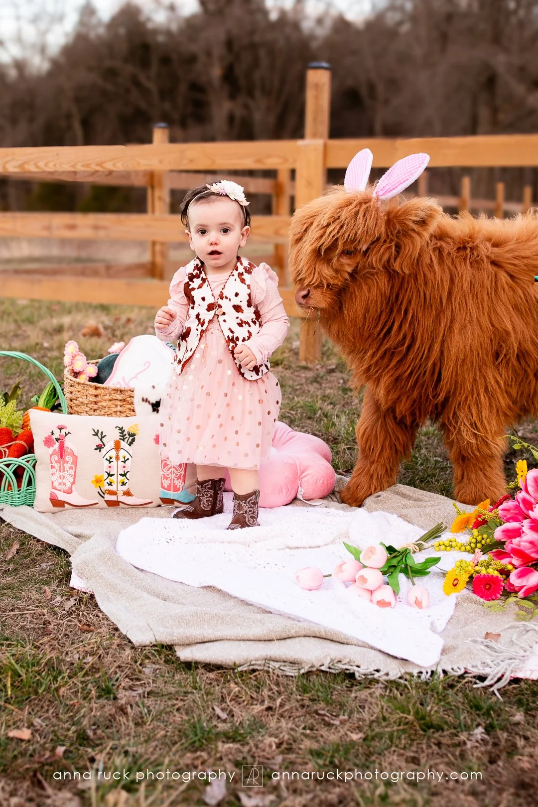 Mini cow photos_watermarked-2.jpg