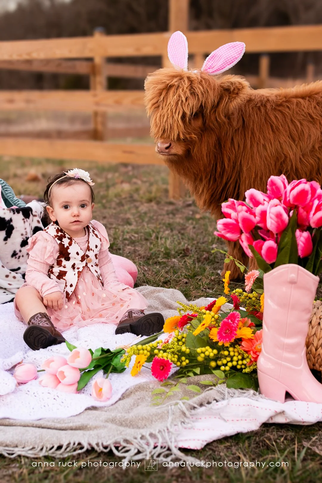 Mini cow photos_watermarked-9.jpg