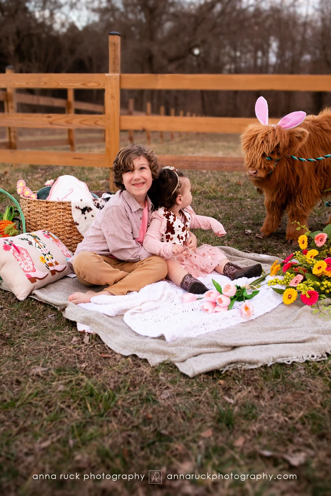 Mini cow photos_watermarked-23.jpg