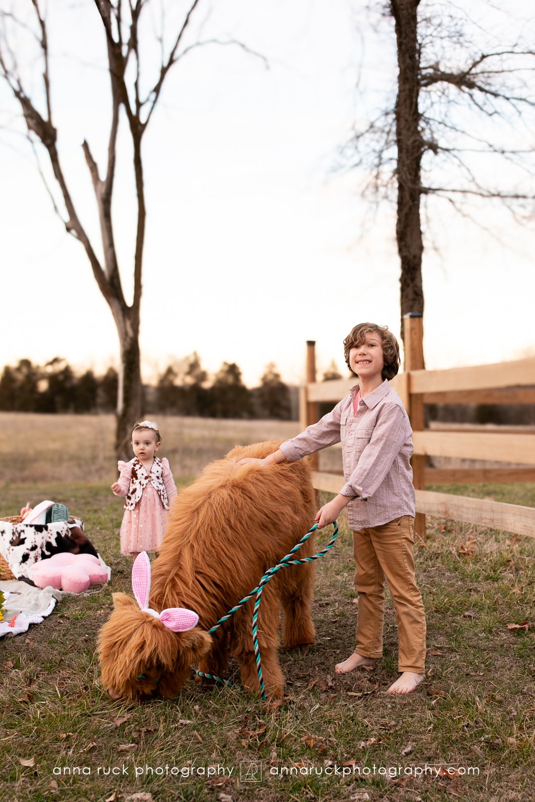 Mini cow photos_watermarked-24.jpg