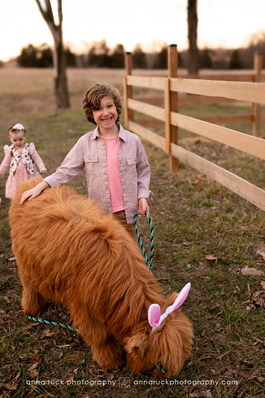 Mini cow photos_watermarked-25.jpg