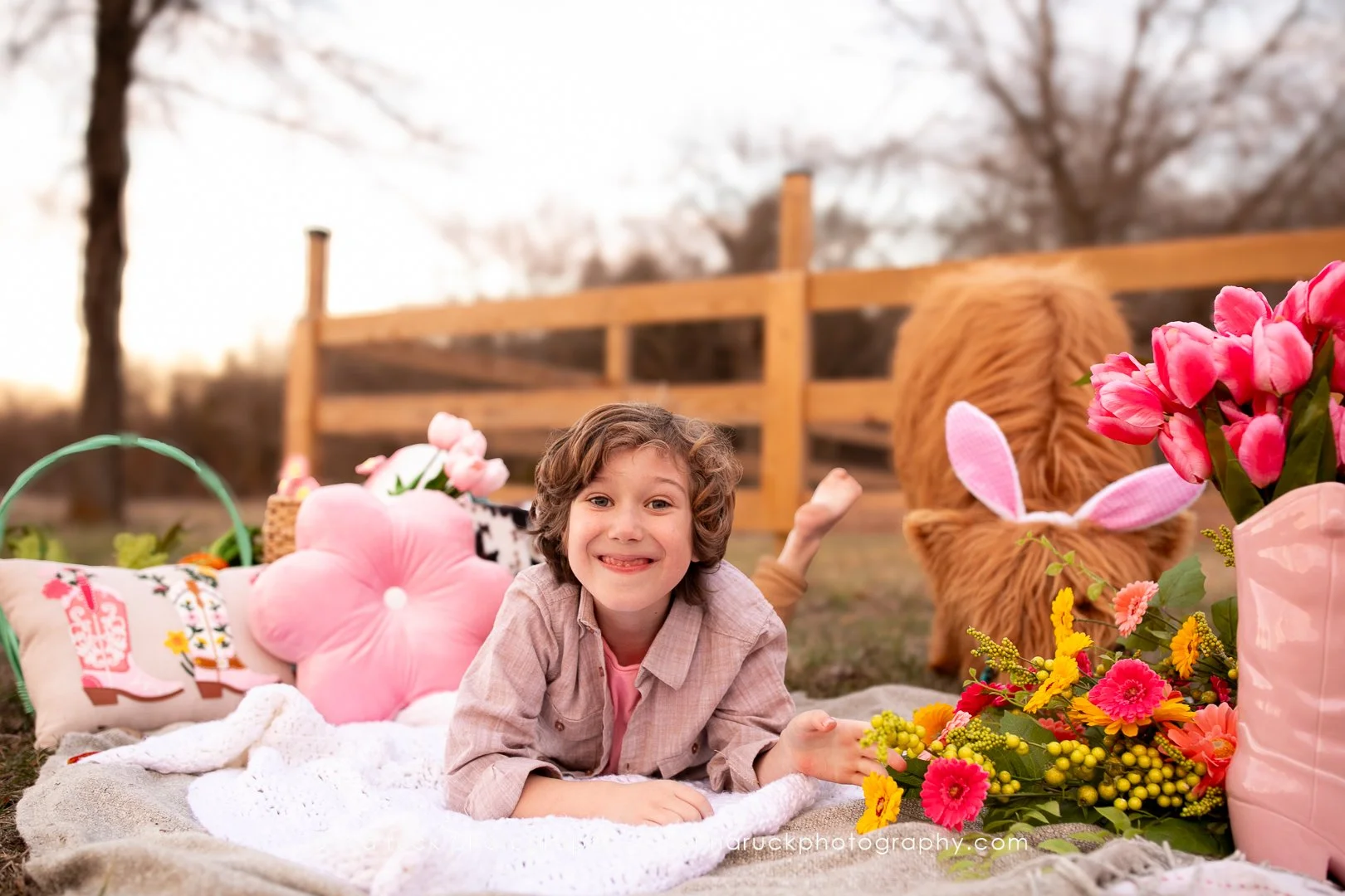 Mini cow photos_watermarked-29.jpg