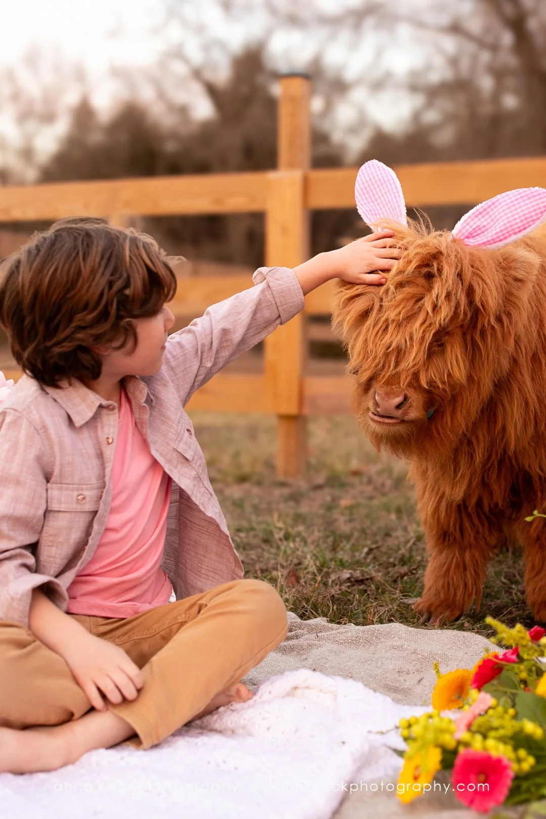 Mini cow photos_watermarked-30.jpg