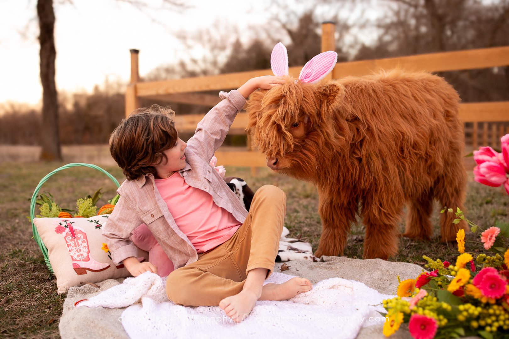 Mini cow photos_watermarked-31.jpg