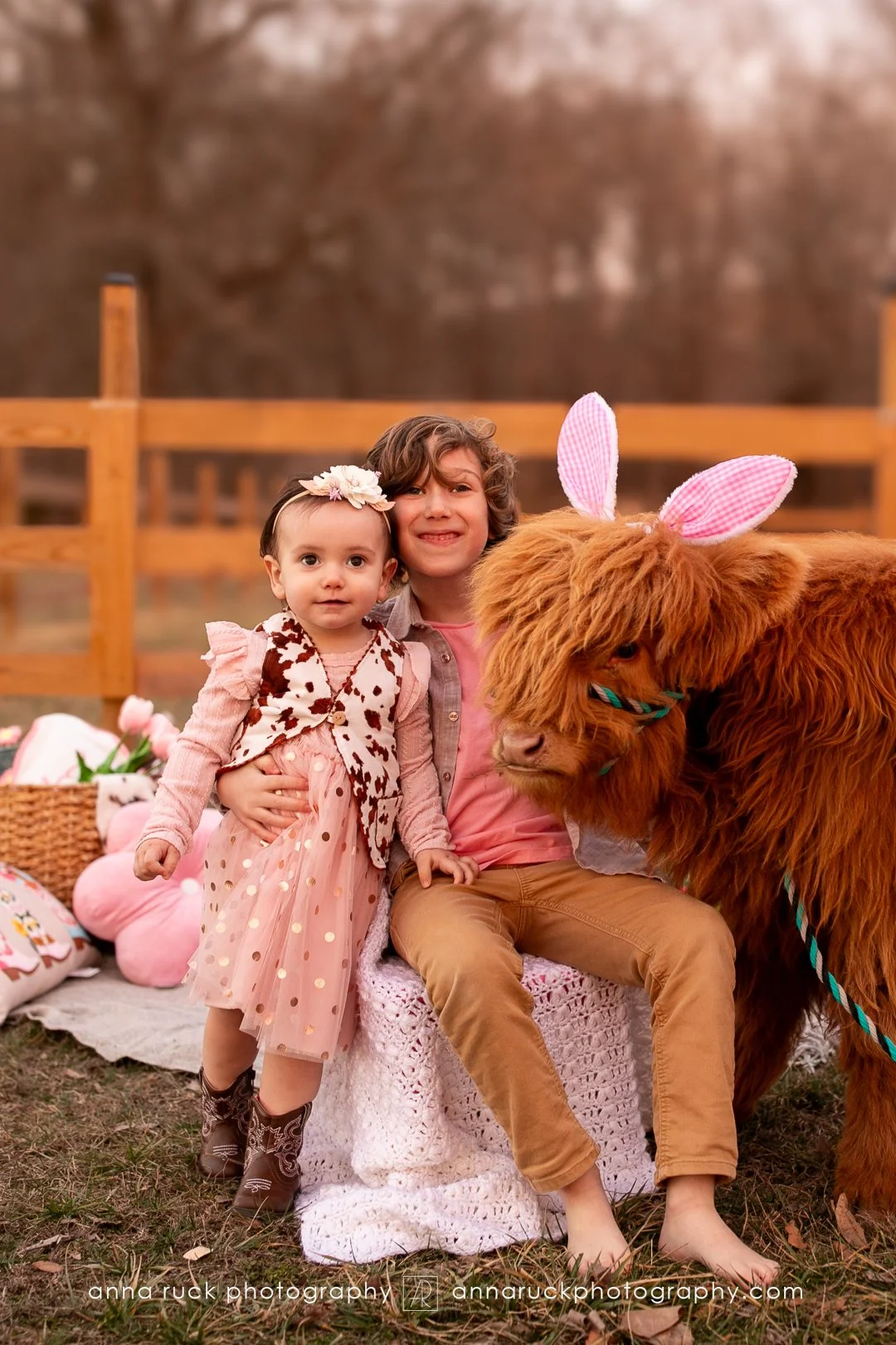 Mini cow photos_watermarked-41.jpg