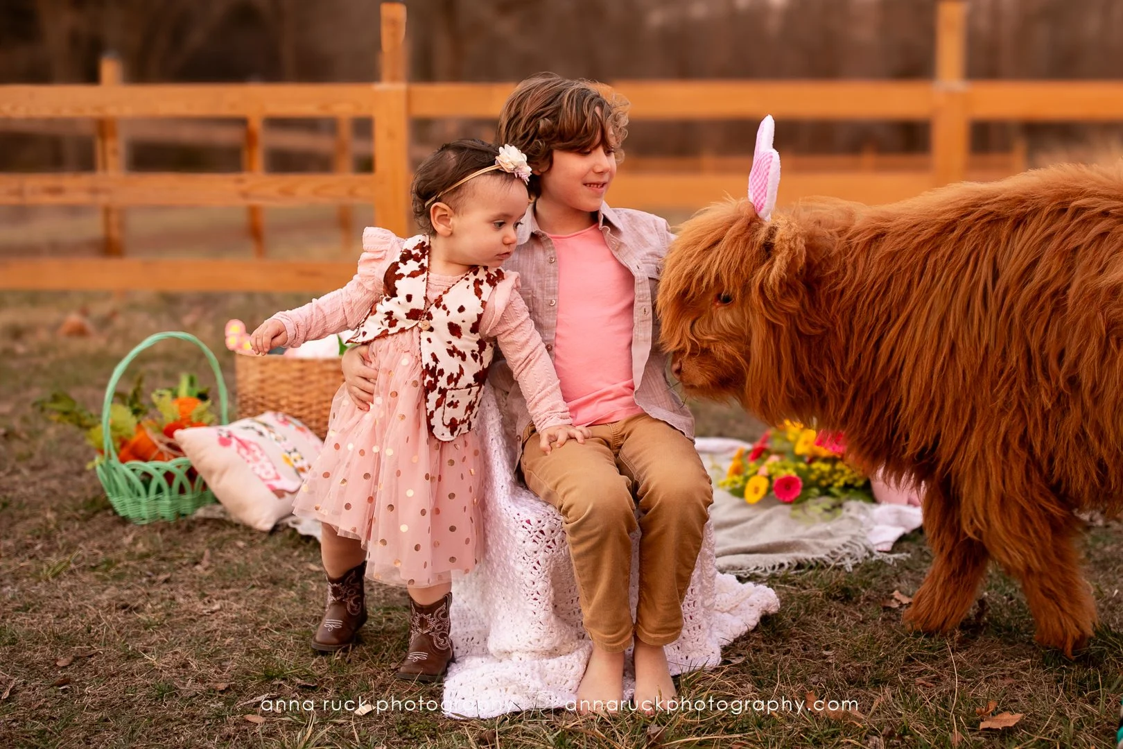 Mini cow photos_watermarked-44.jpg