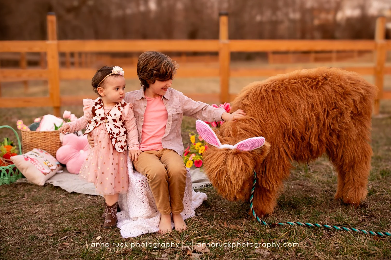 Mini cow photos_watermarked-45.jpg