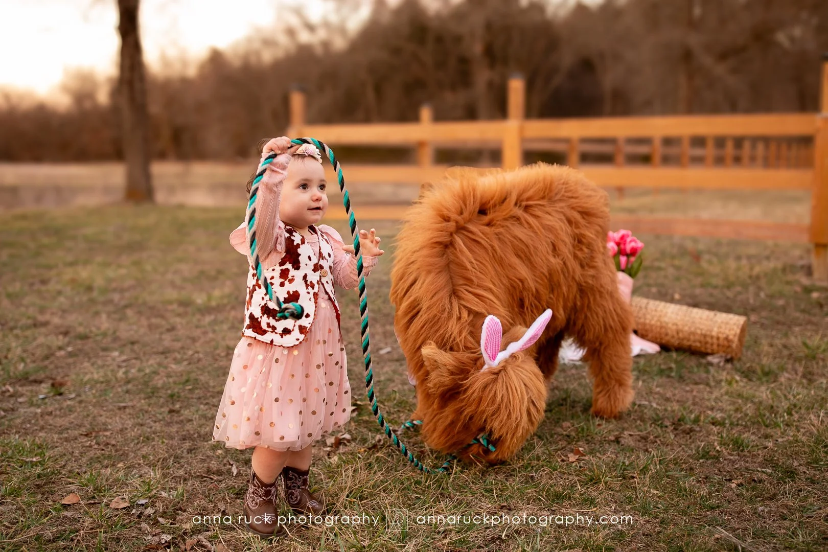 Mini cow photos_watermarked-65.jpg