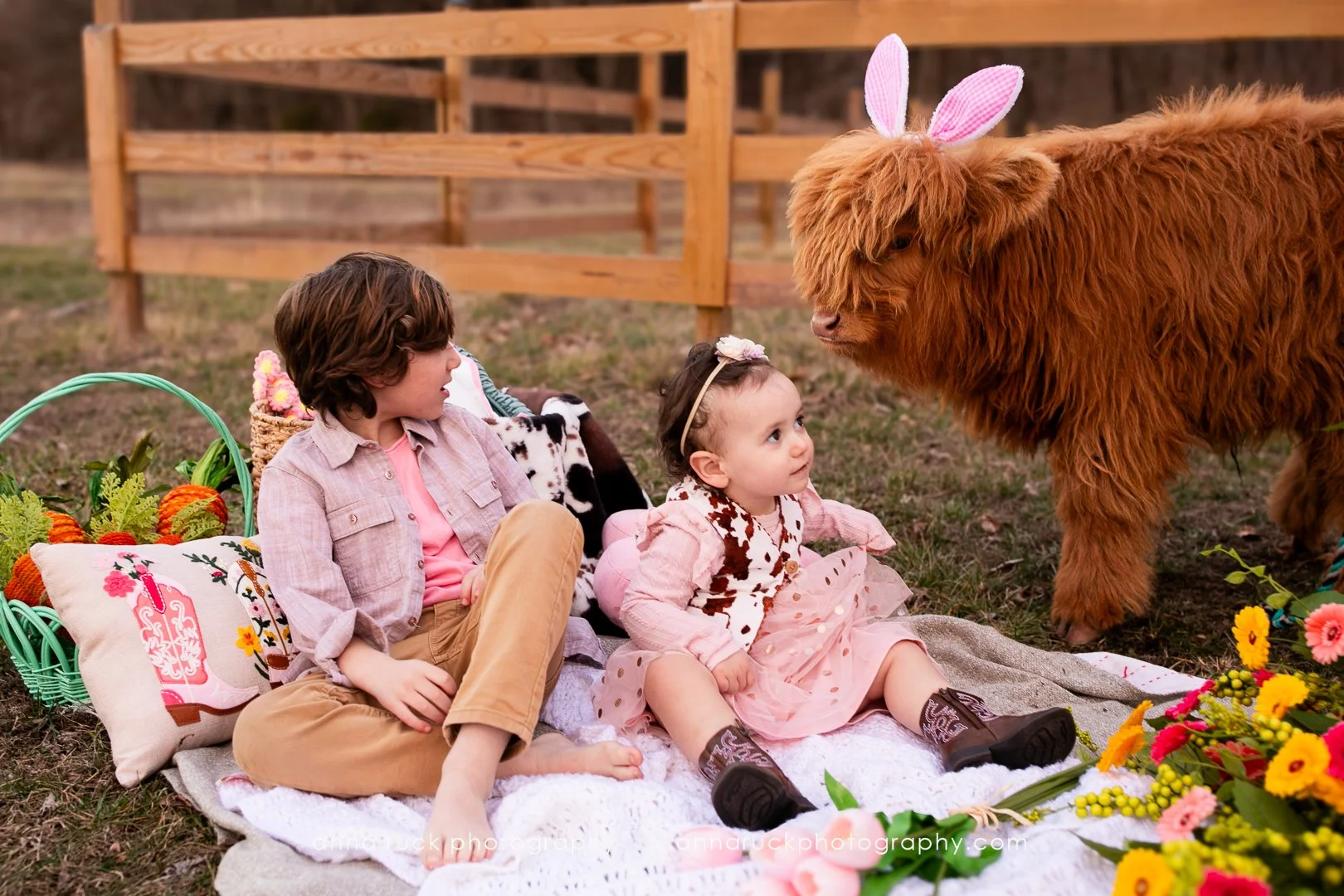 Mini cow photos_watermarked-18.jpg