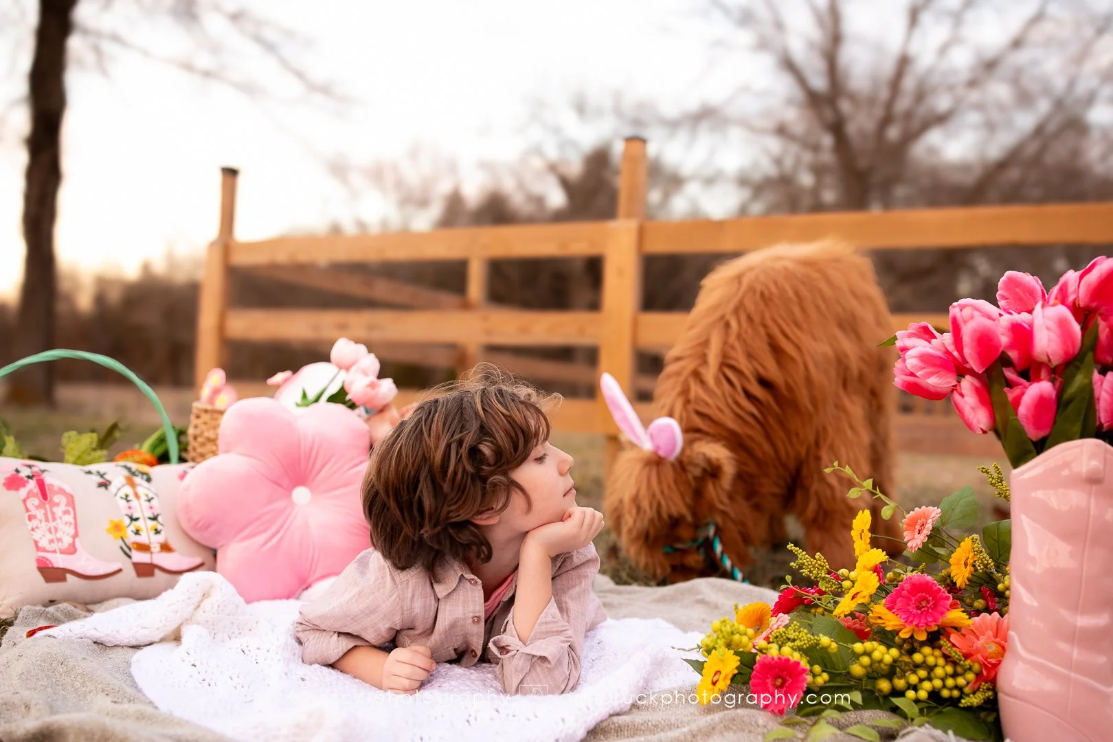 Mini cow photos_watermarked-27.jpg