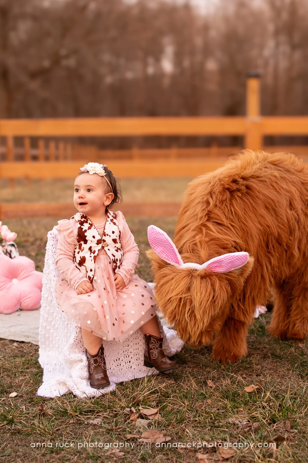 Mini cow photos_watermarked-38.jpg