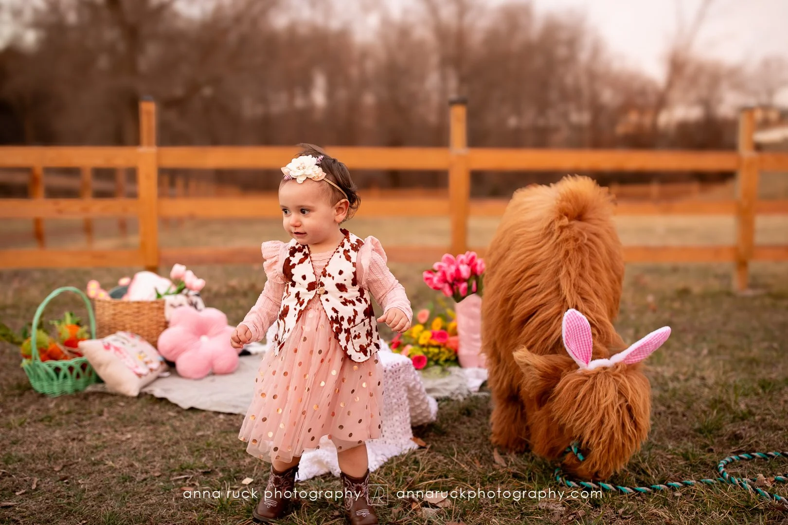 Mini cow photos_watermarked-40.jpg