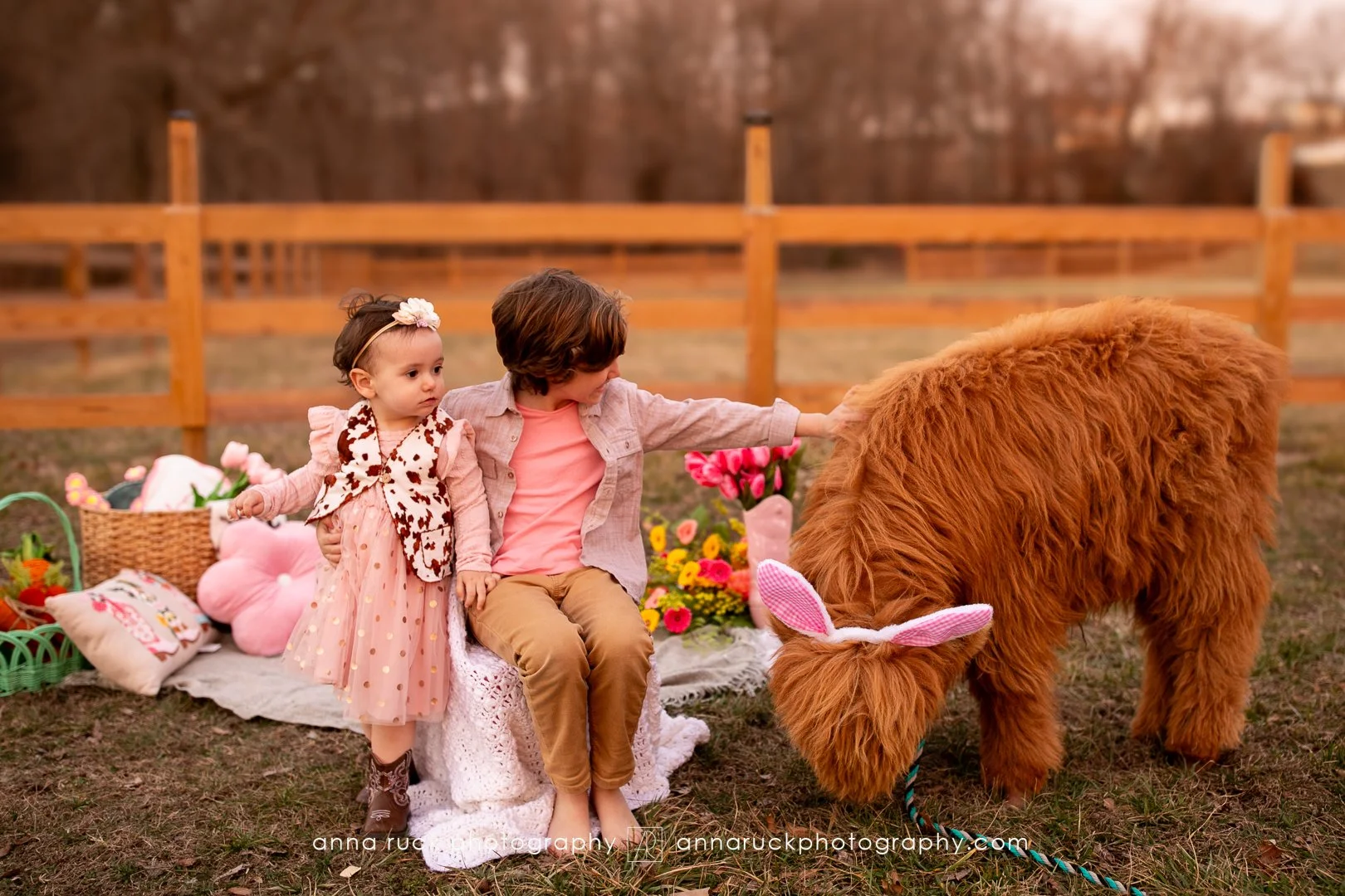 Mini cow photos_watermarked-46.jpg