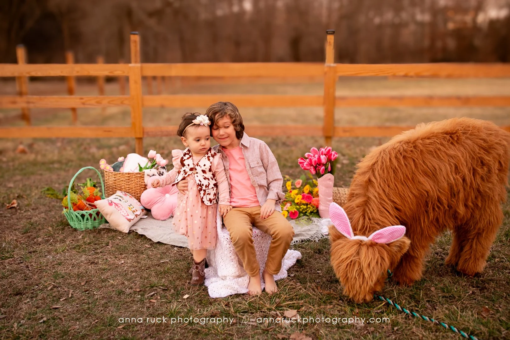 Mini cow photos_watermarked-49.jpg