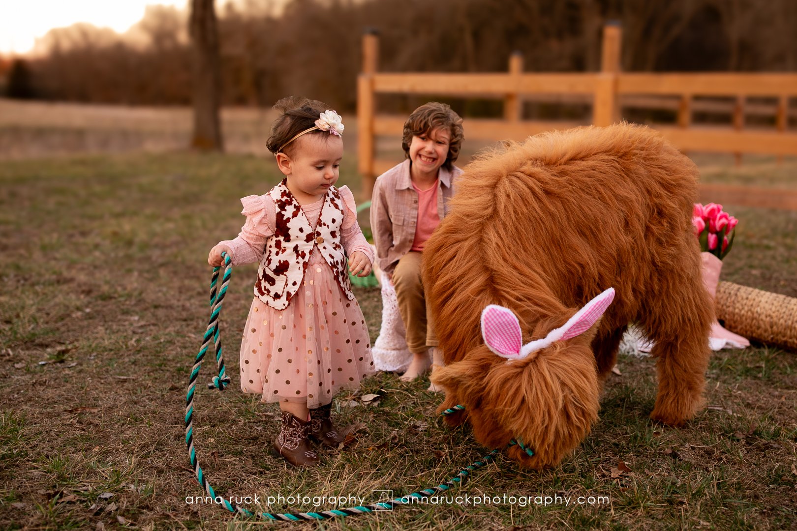 Mini cow photos_watermarked-63.jpg