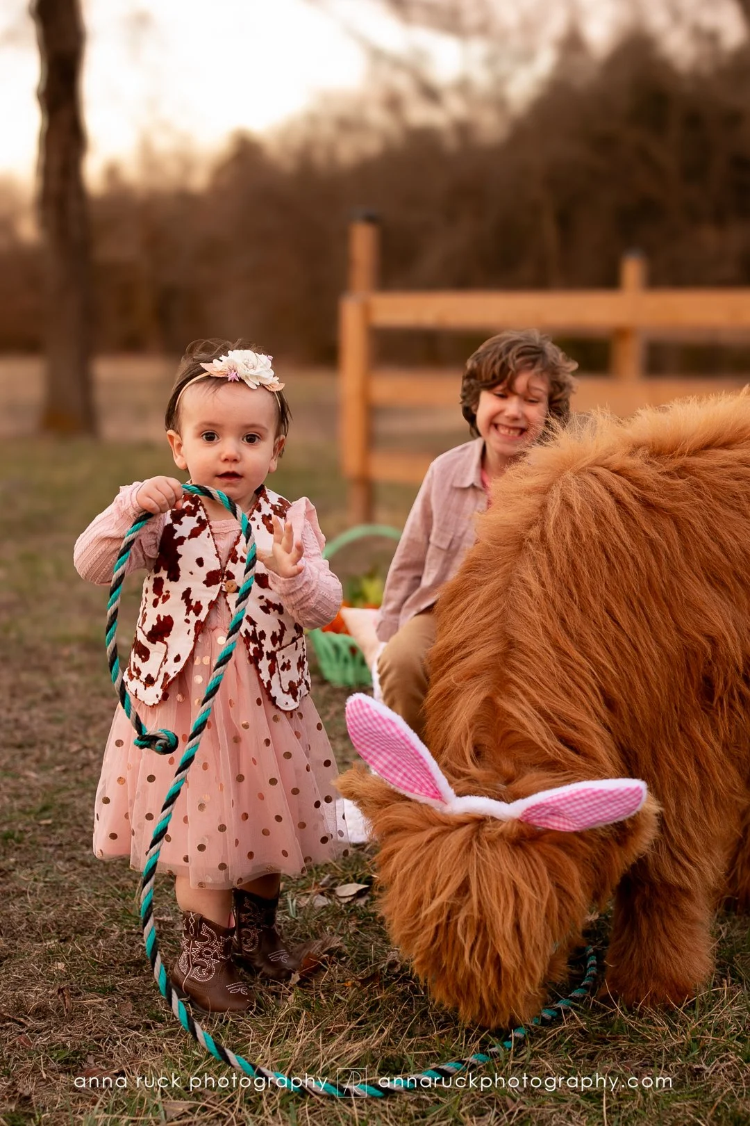 Mini cow photos_watermarked-64.jpg