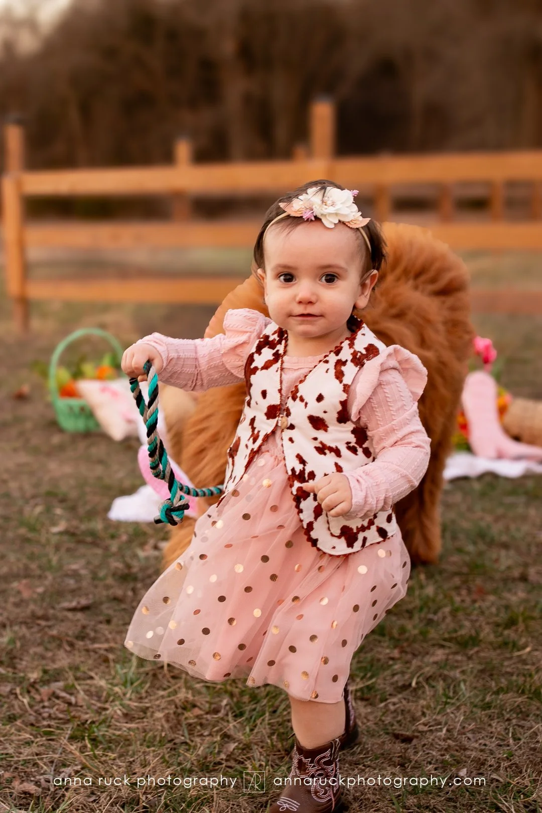 Mini cow photos_watermarked-67.jpg