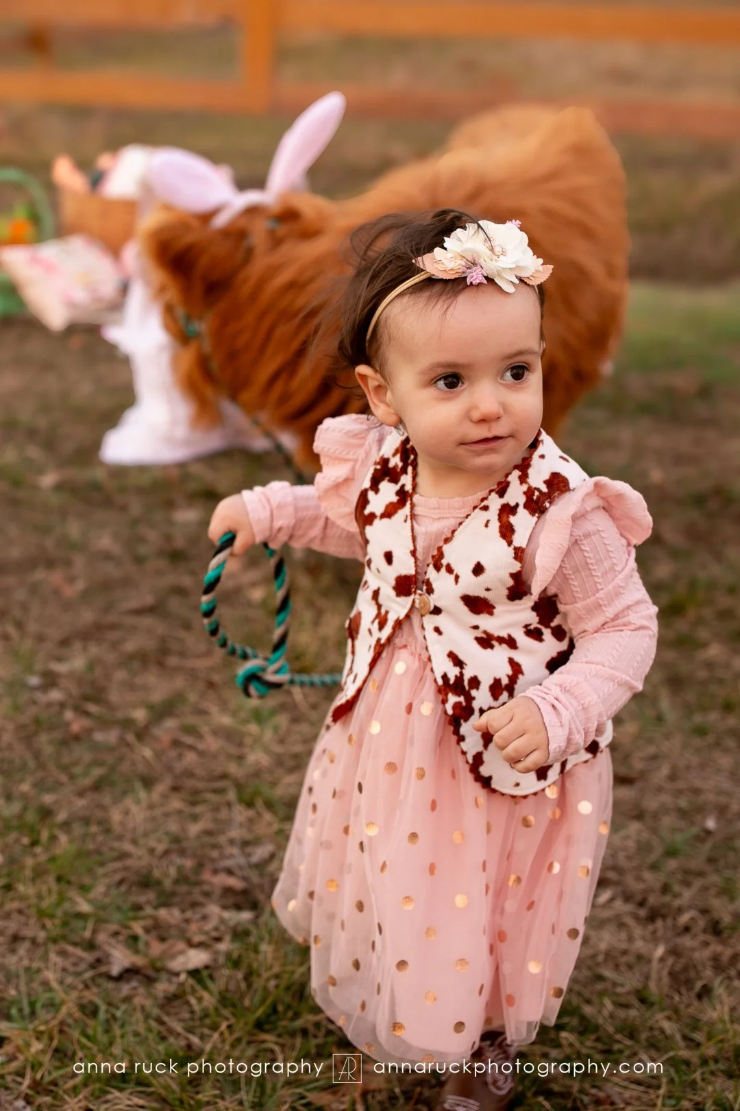 Mini cow photos_watermarked-68.jpg