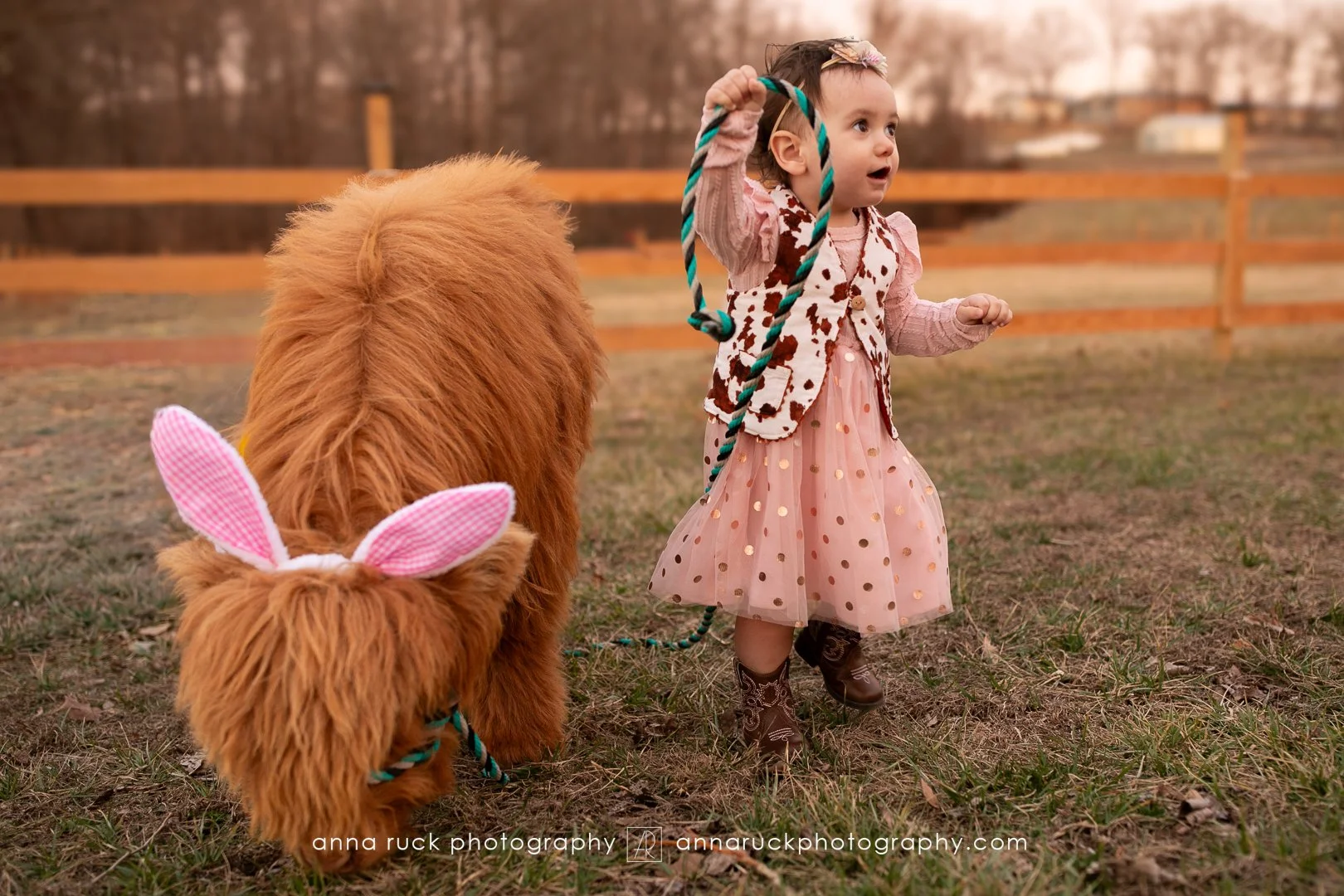 Mini cow photos_watermarked-73.jpg