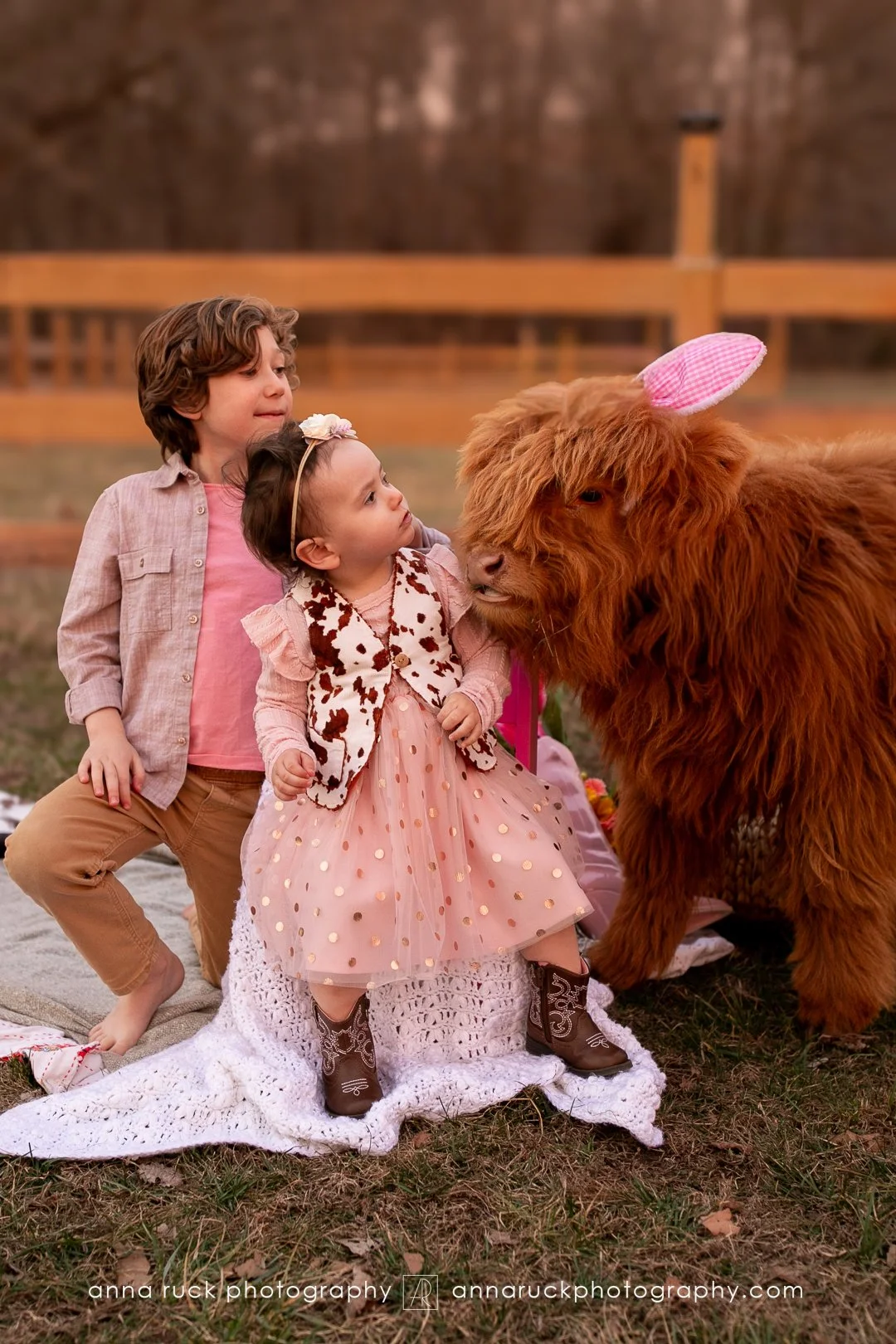 Mini cow photos_watermarked-81.jpg