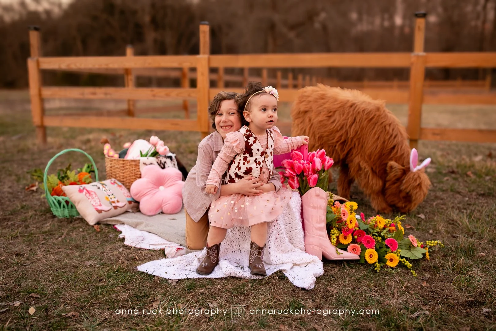 Mini cow photos_watermarked-84.jpg