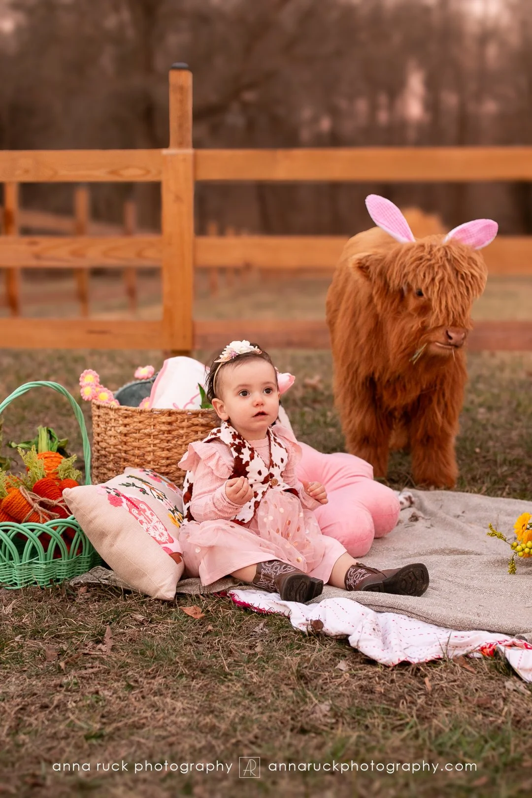 Mini cow photos_watermarked-90.jpg