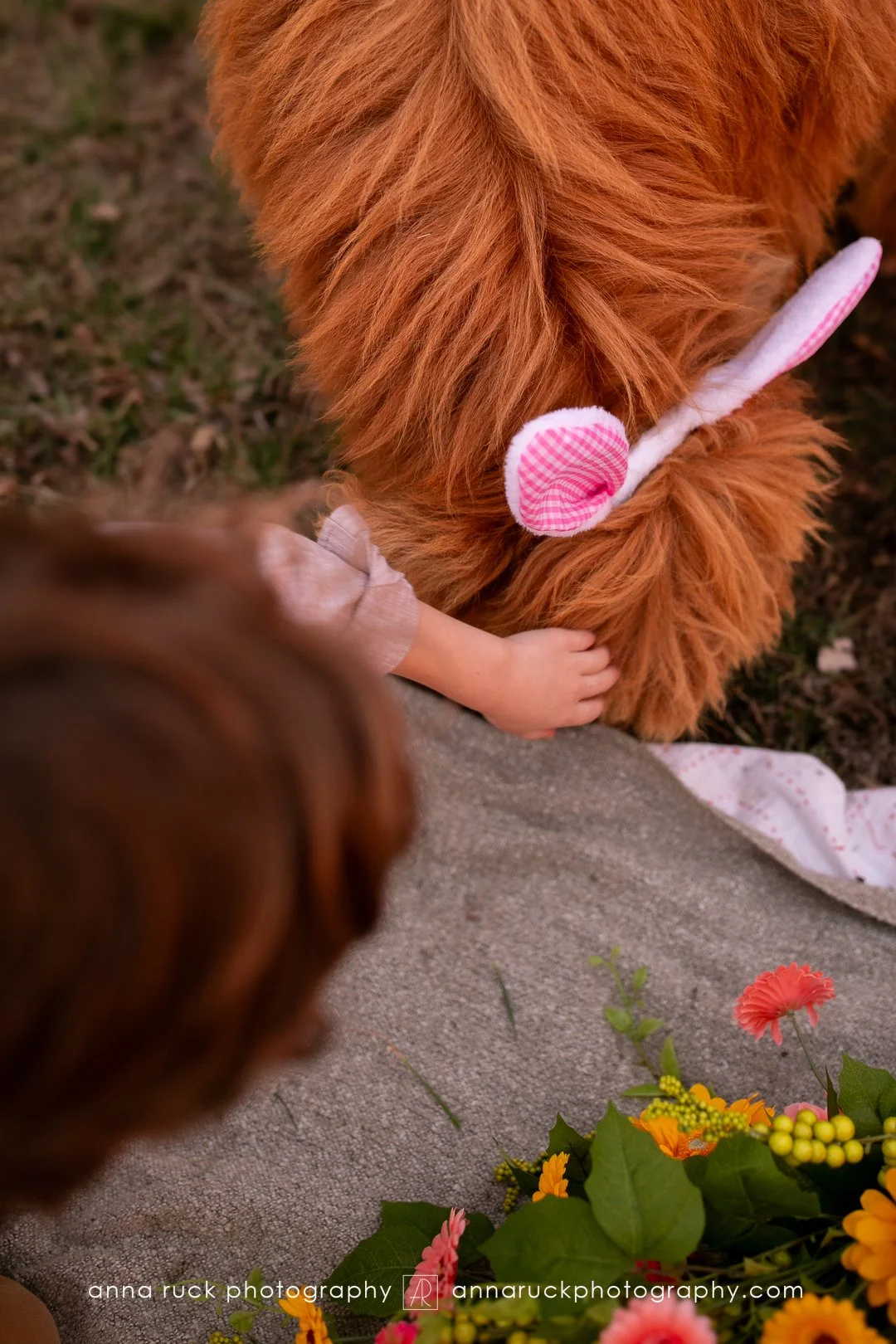 Mini cow photos_watermarked-96.jpg