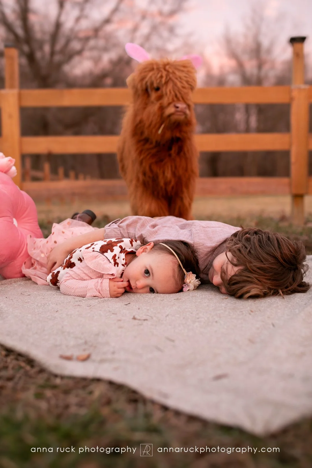 Mini cow photos_watermarked-97.jpg