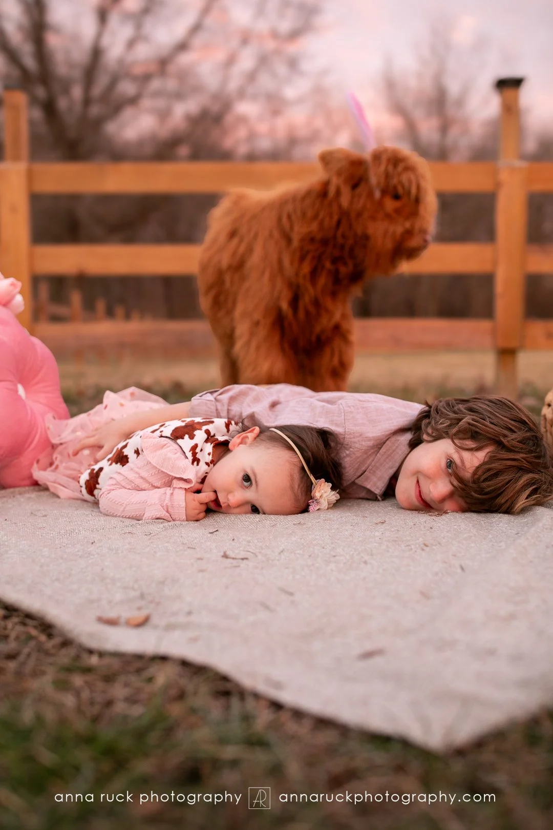 Mini cow photos_watermarked-99.jpg