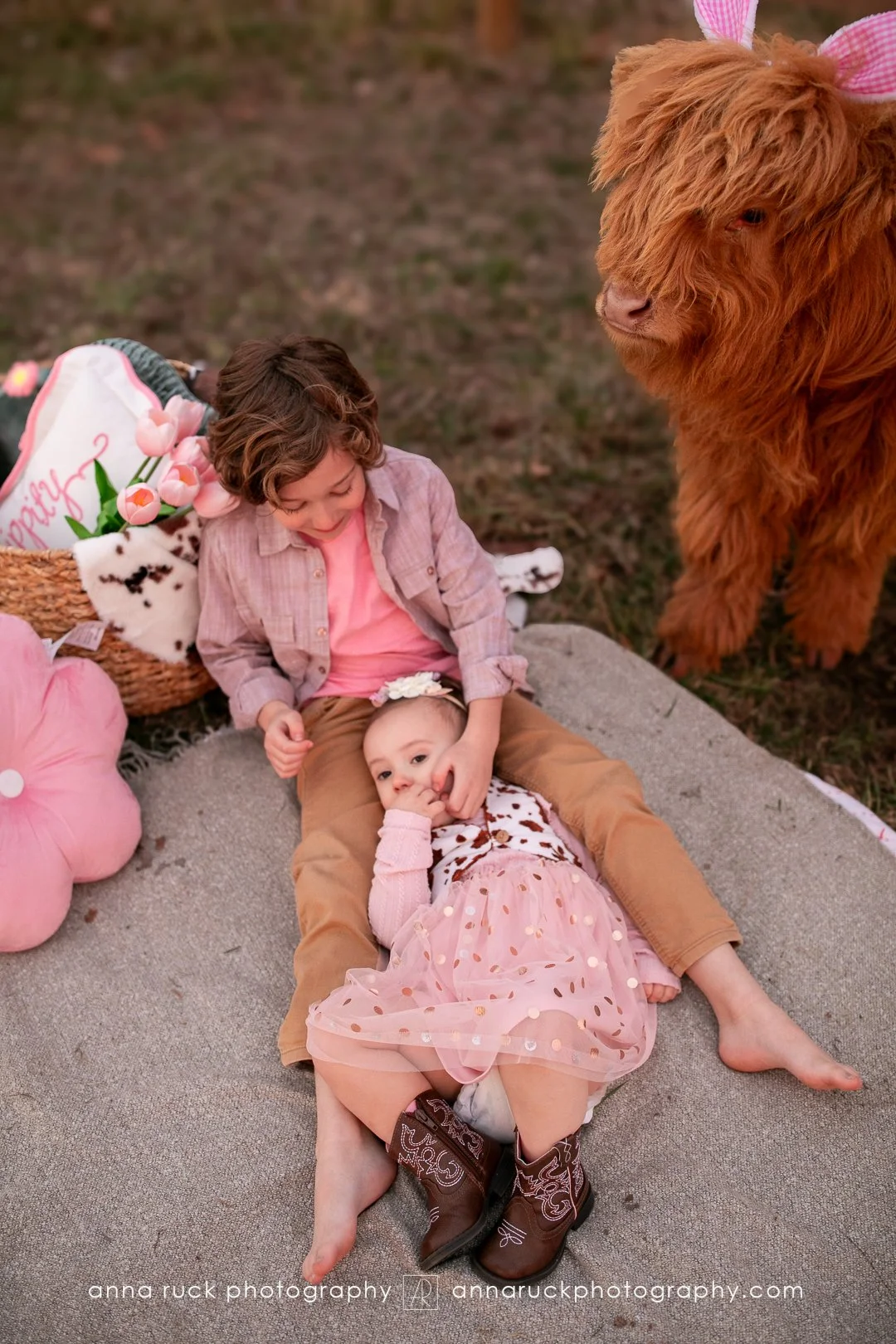 Mini cow photos_watermarked-102.jpg