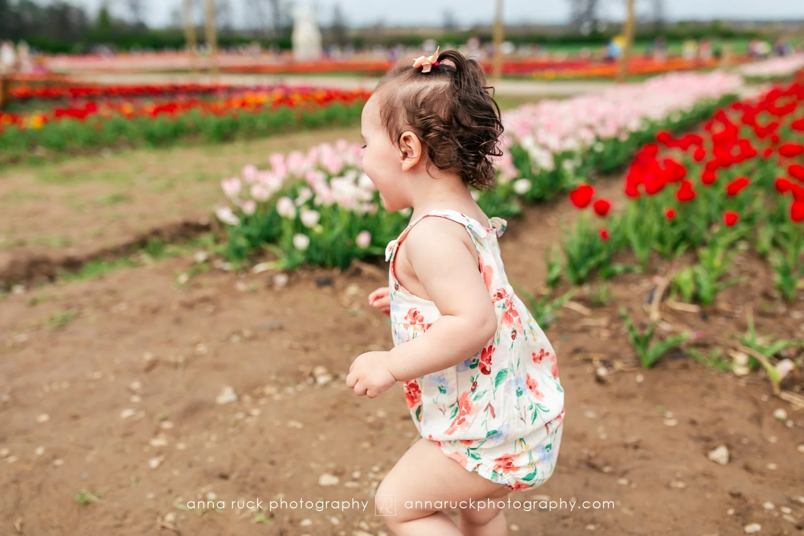 Tulip Trail photos_watermarked-8.jpg