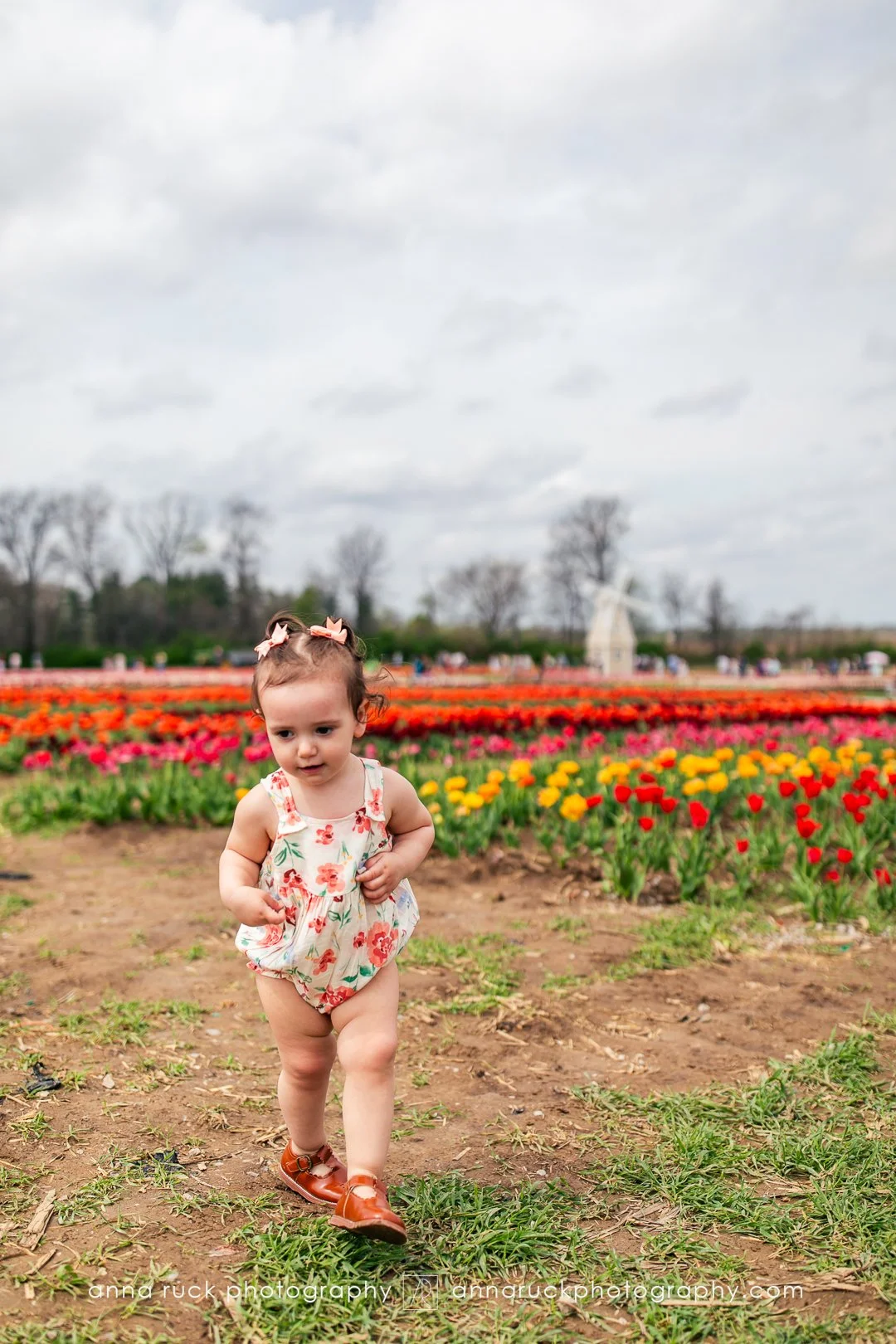 Tulip Trail photos_watermarked-11.jpg