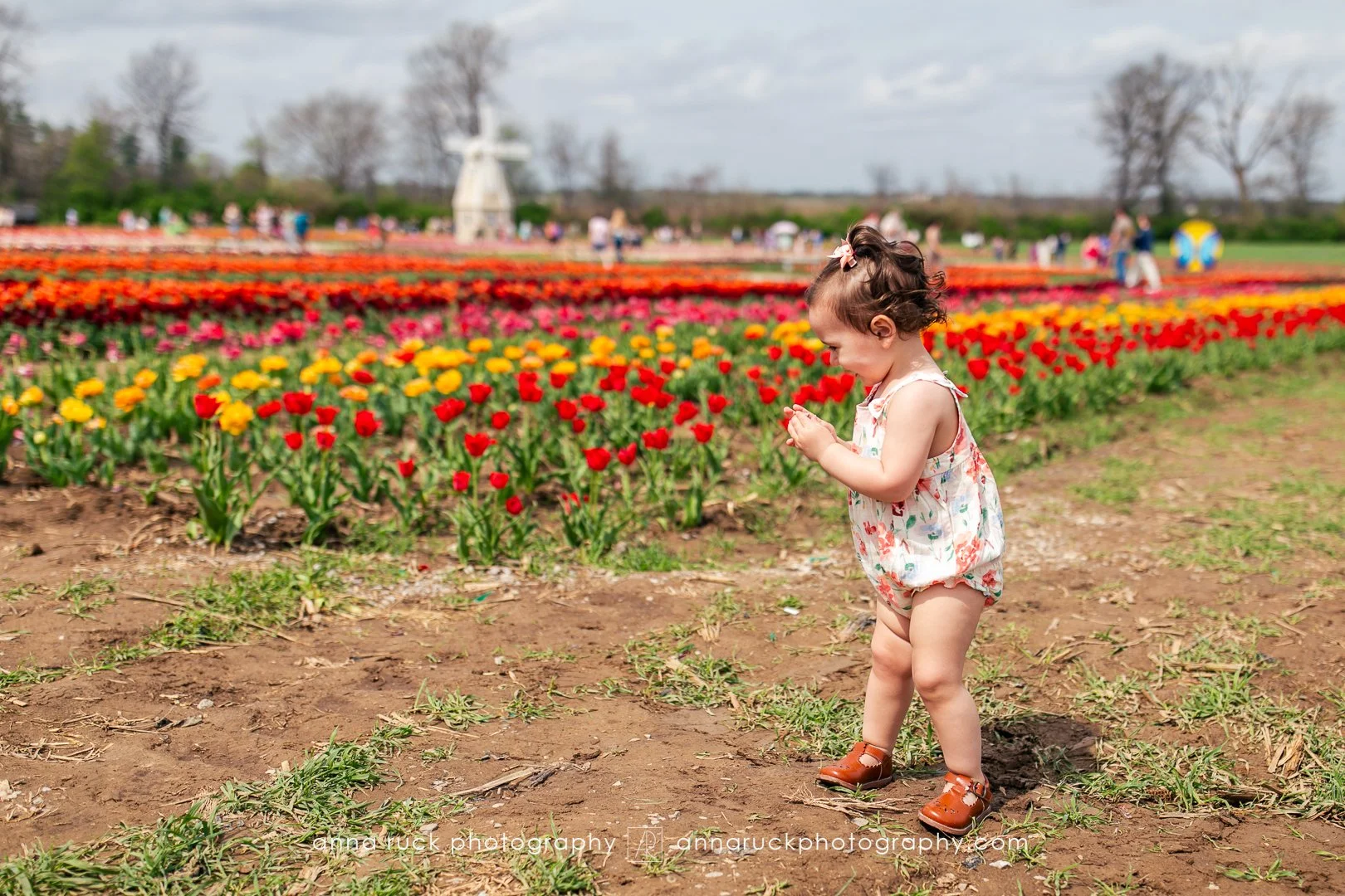 Tulip Trail photos_watermarked-17.jpg