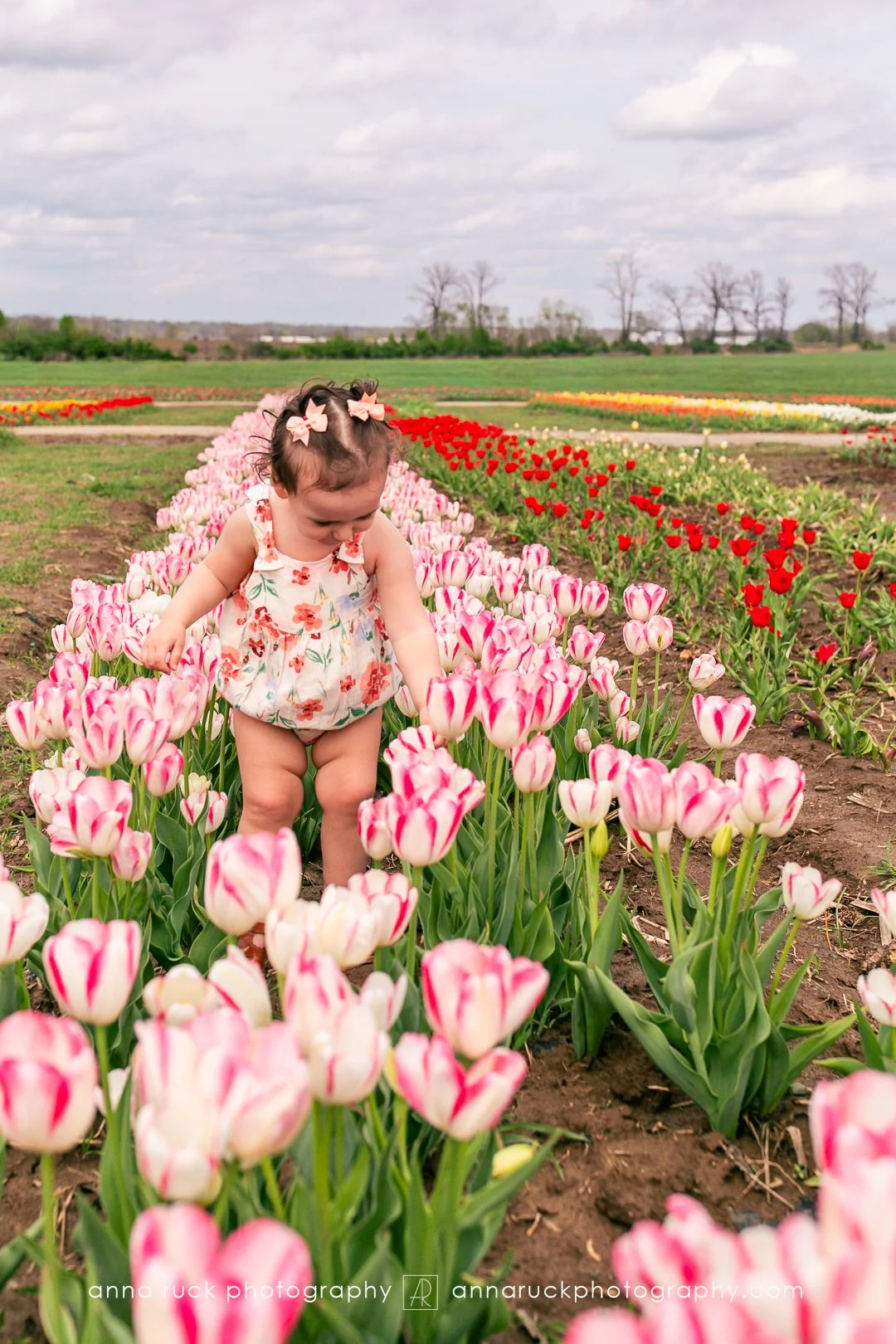 Tulip Trail photos_watermarked-23.jpg
