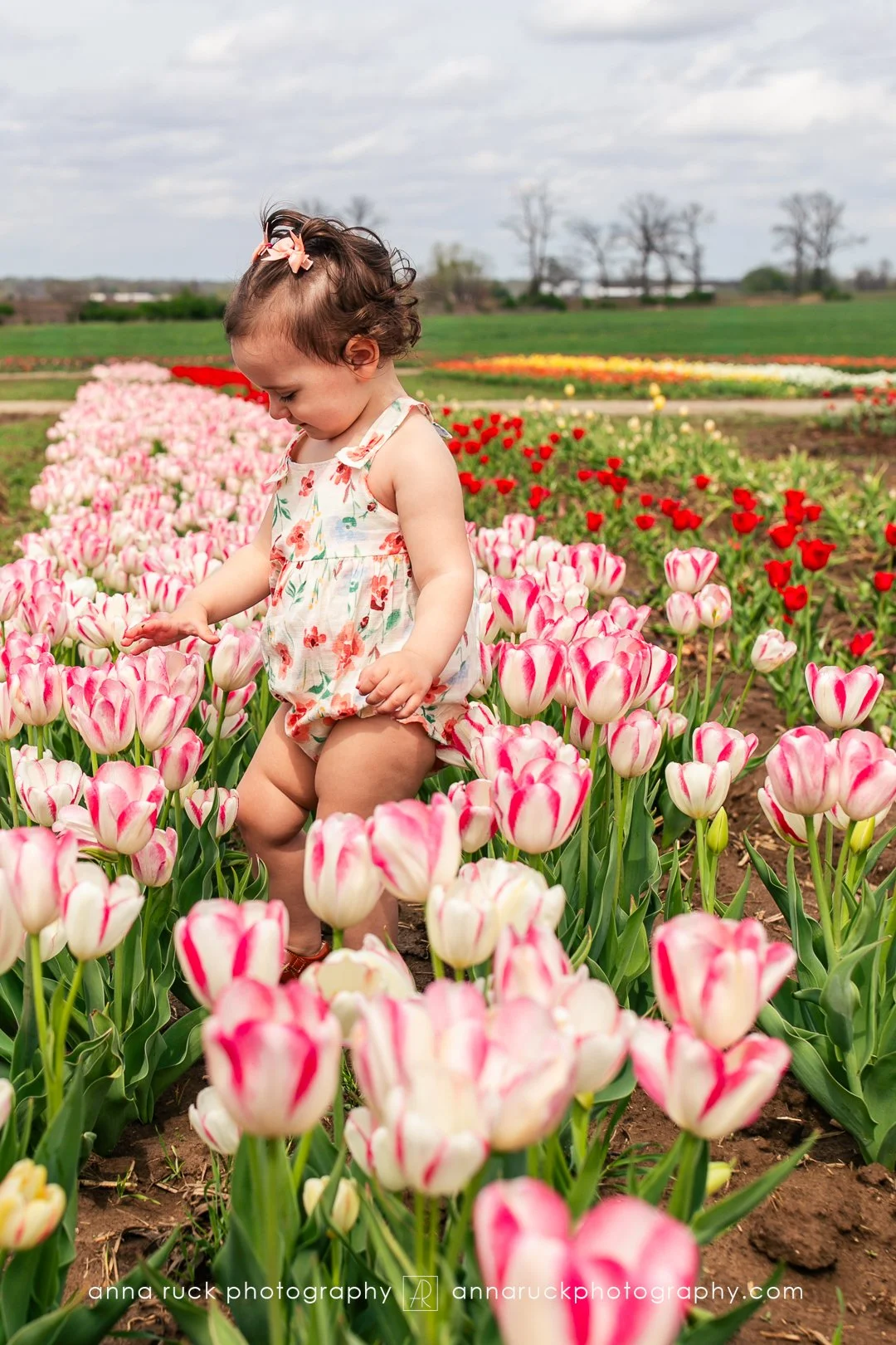 Tulip Trail photos_watermarked-24.jpg