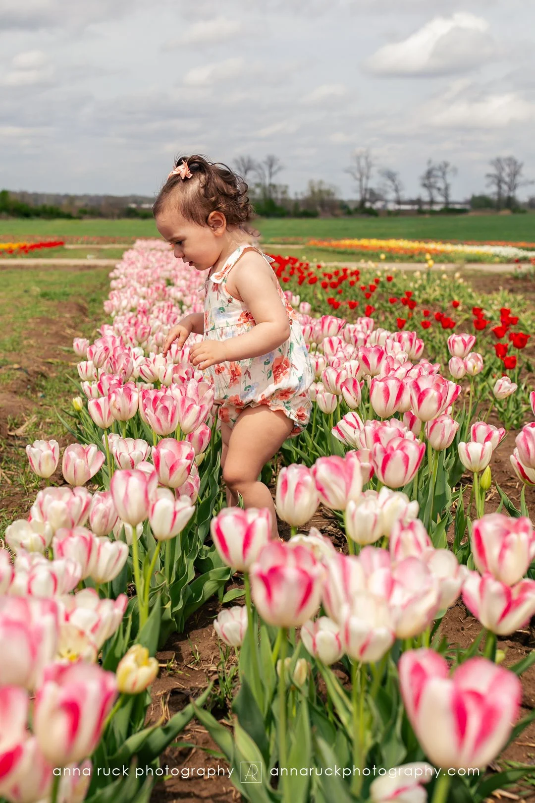 Tulip Trail photos_watermarked-25.jpg