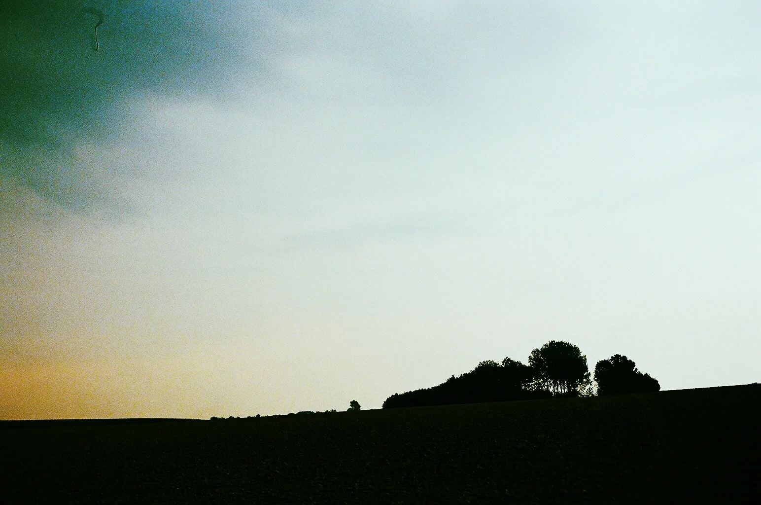8037127445_446af20db3_o.jpg
