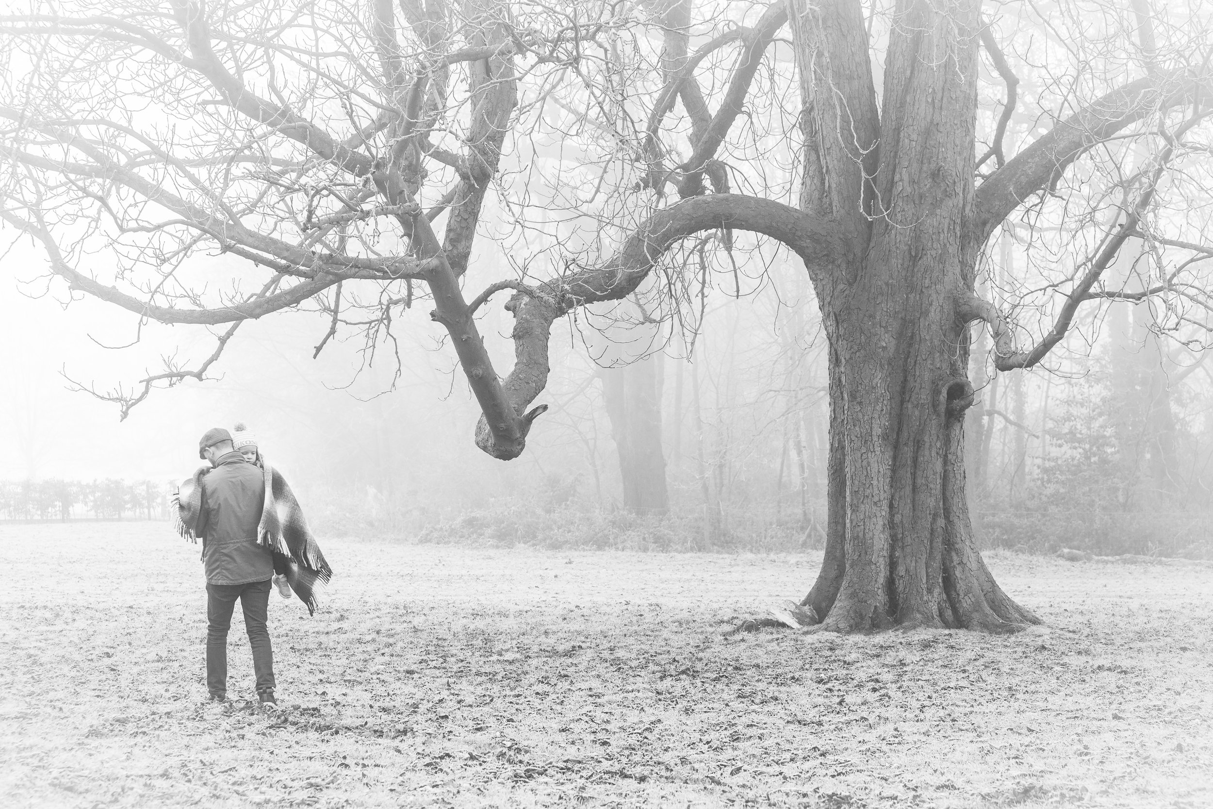 Fog and mist can create beautiful atmospheric images such as this one.