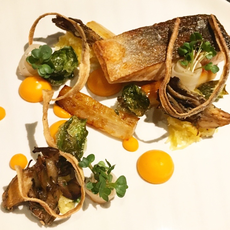 PAN SEARED WILD BC SALMON with sweet potato, salsify, wild mushrooms, spaghetti squash and crispy burdoch