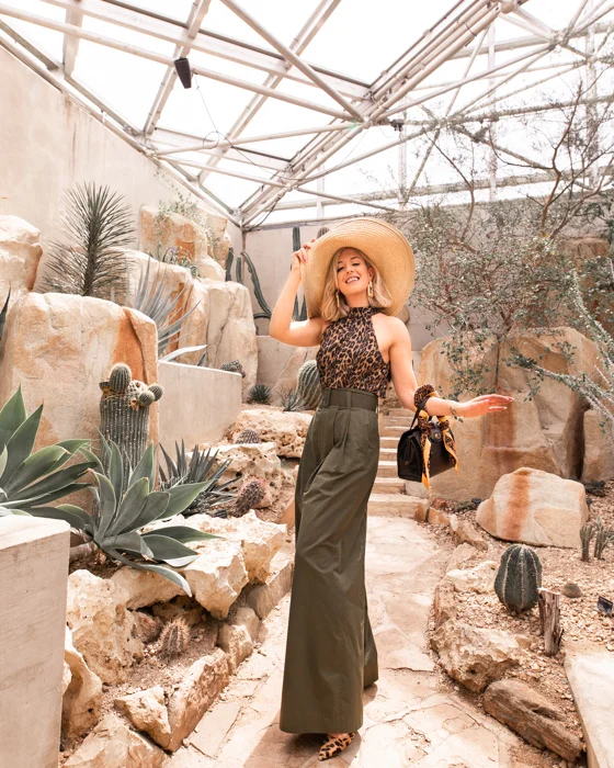 Exploring the San Antonio Botanical Gardens