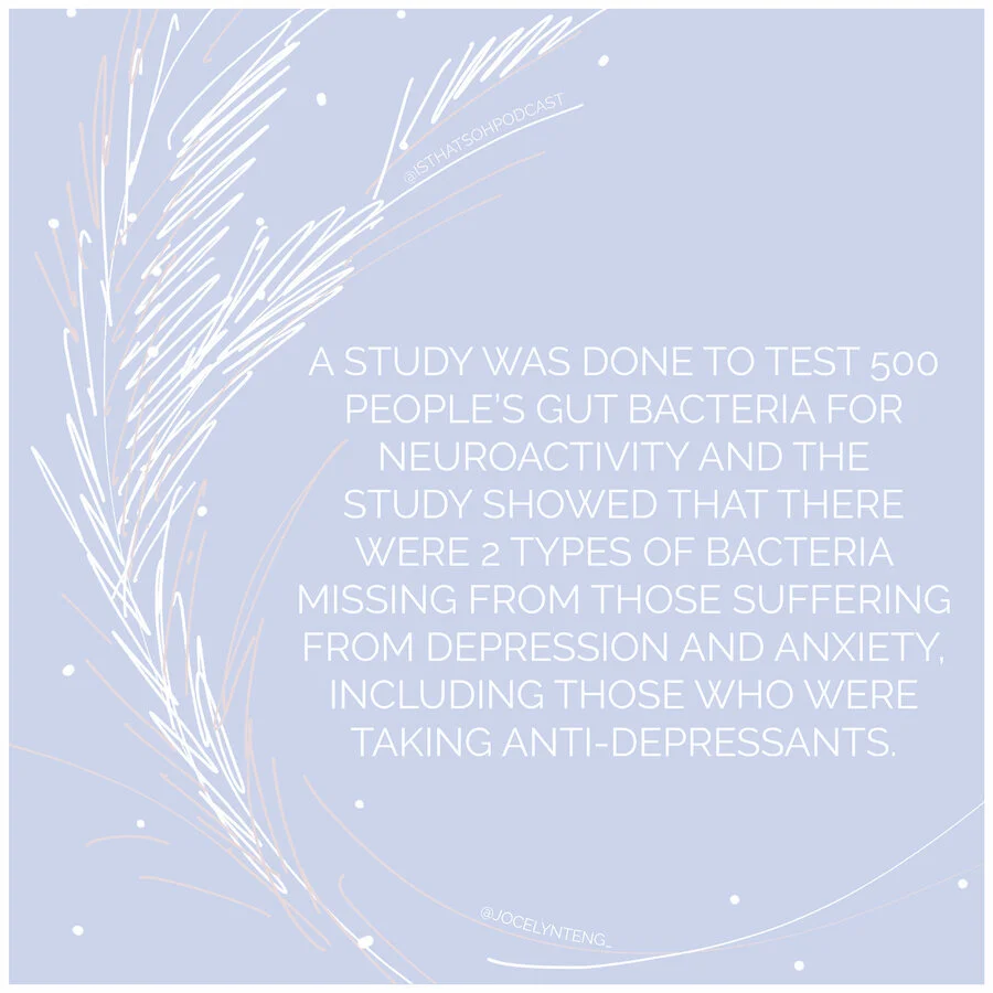 gut brain connection